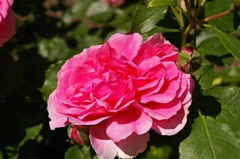 https://ur2h9smi.turpal.com/media/P07vnsxF7KxntGDIKPrBYTnr888RjWbArotQYO9E.jpg